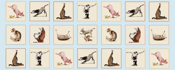 Yoga Tiere Sport Panel