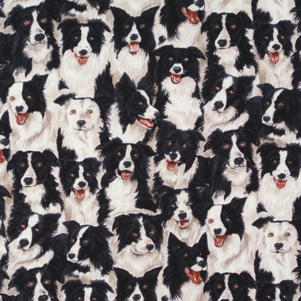 Patchworkstoff Bordercollie Hunde Hundestoff