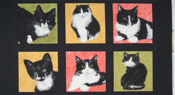 SALE Tuxedo Cats Katzen Panel