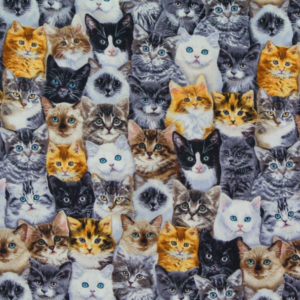 Patchworkstoff Katzen Katzenkinder Breeds of Cats