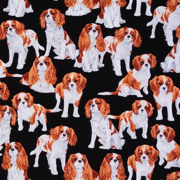 Patchworkstoff Rassehunde Hunde Cavalier
