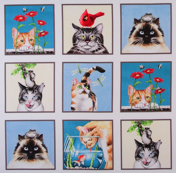 Katzen Curious Cats Panel
