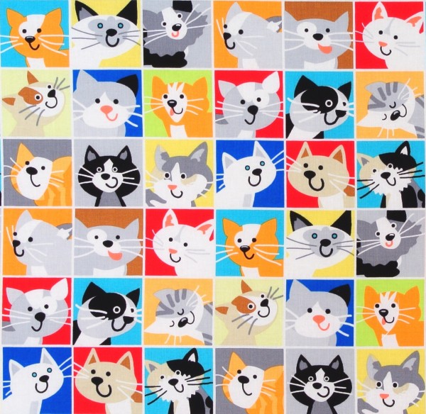 Witzige Katzenbilder Cat Tale