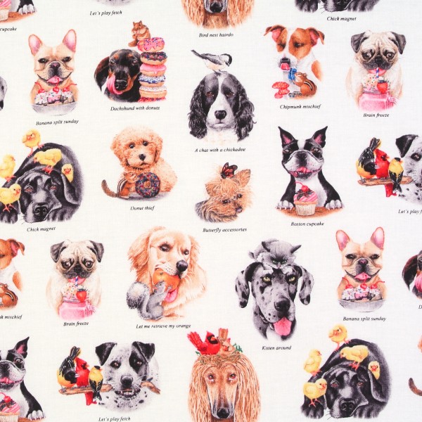 Patchworkstoff Hunde Hundestoff Doggie Drama