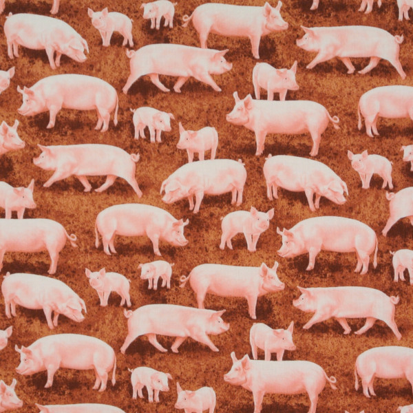 Timeless Schweine und Ferkel