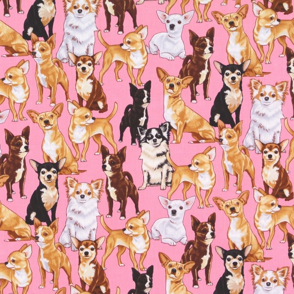 Patchworkstoff Hunde Chihuahuas auf Rosa