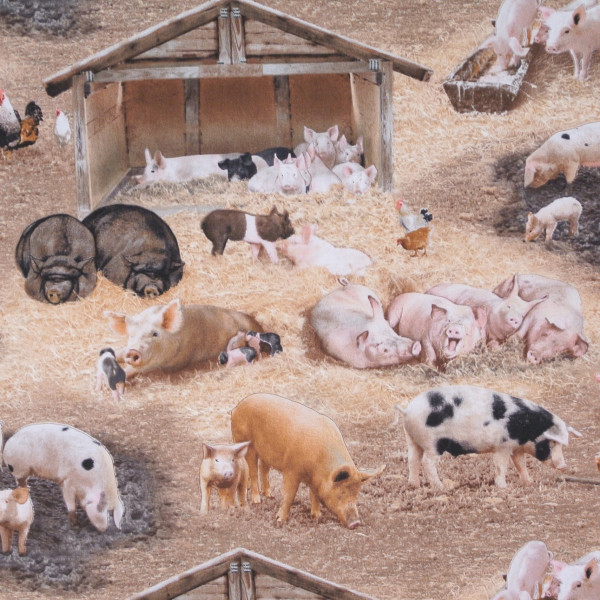 Farm Animals Schweine
