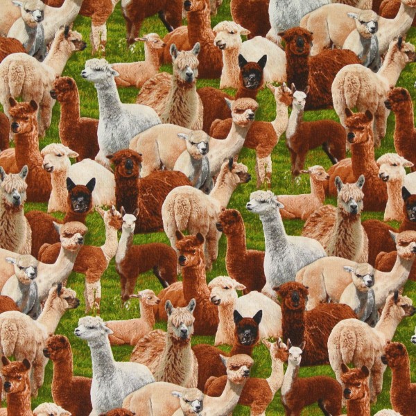 Patchworkstoff Lama Lamas Tiere "Farm Animals"