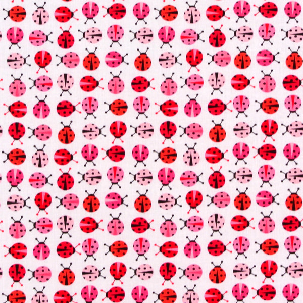 Marienkäfer Zoologie mini pink