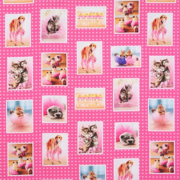 Patchworkstoff witzige Hunde, Katzen und Tiere in Tutus Panel