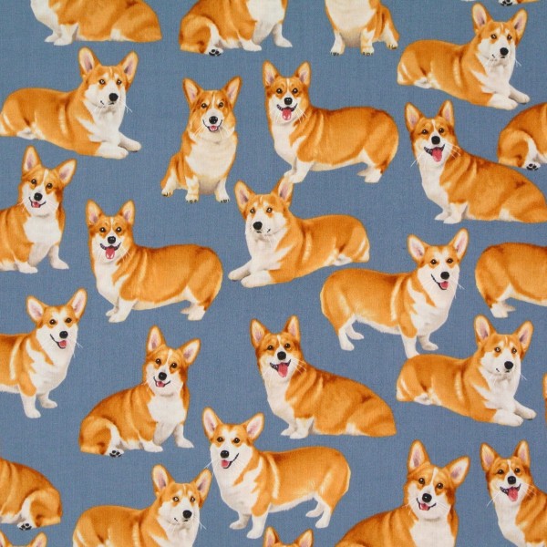 Patchworkstoff Hunde Corgi Corgis auf Grau-Blau