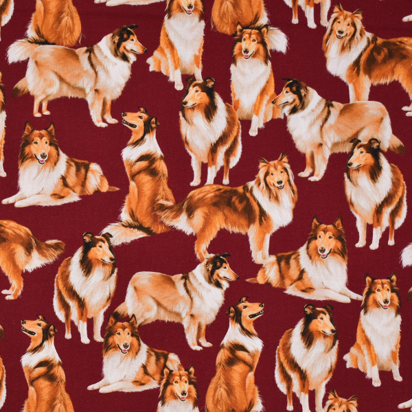 Patchworkstoff Collies Hunde Rassehunde Webware