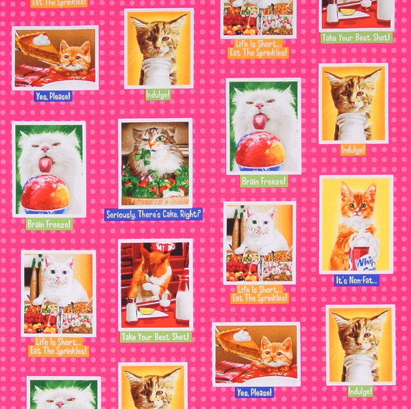 Eat Drink and be Funny Katzen pink