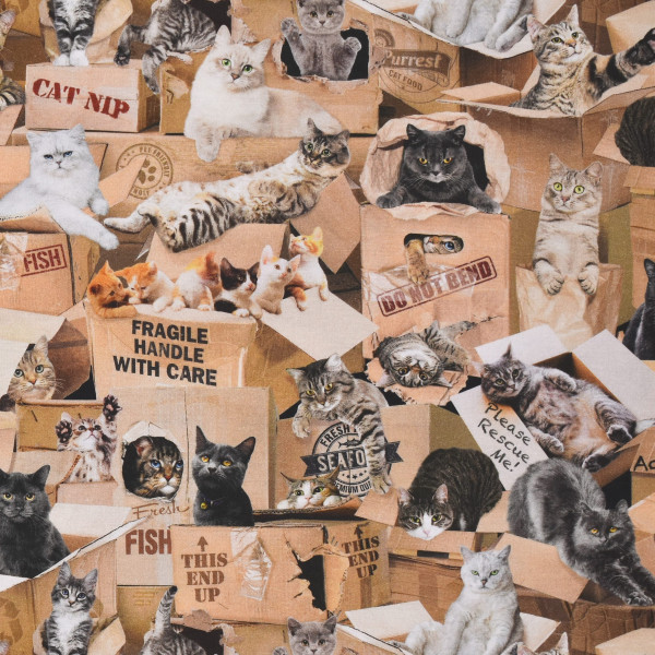 Patchworkstoff Katzen Katzenstoff Cats in Boxes Webware