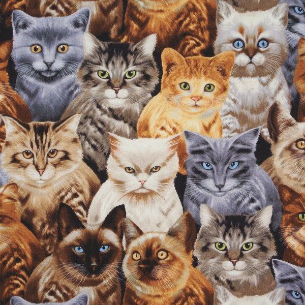 Patchworkstoff Timeless Katzen mit Charakter
