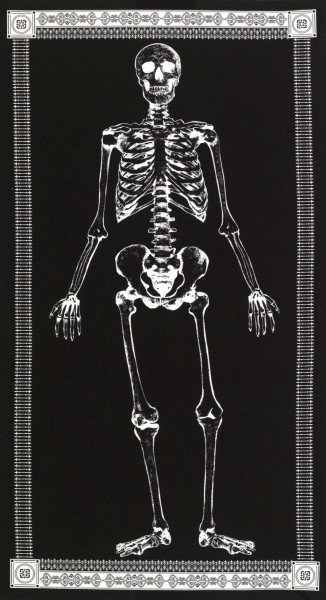 Halloween Glow in the Dark Skelett Panel