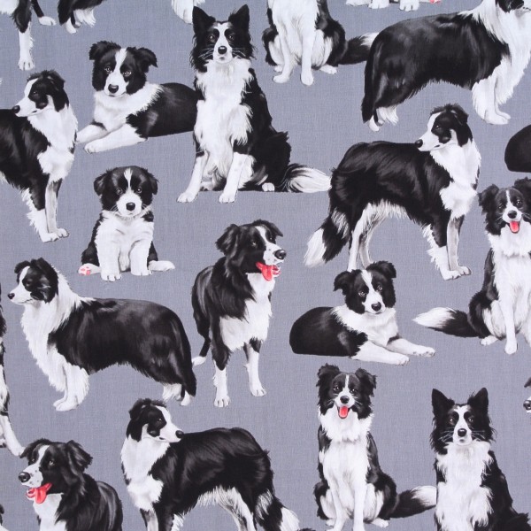 Patchworkstoff Bordercollie Hunde Hundestoff