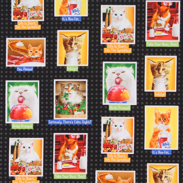 Eat Drink and be Funny Katzen